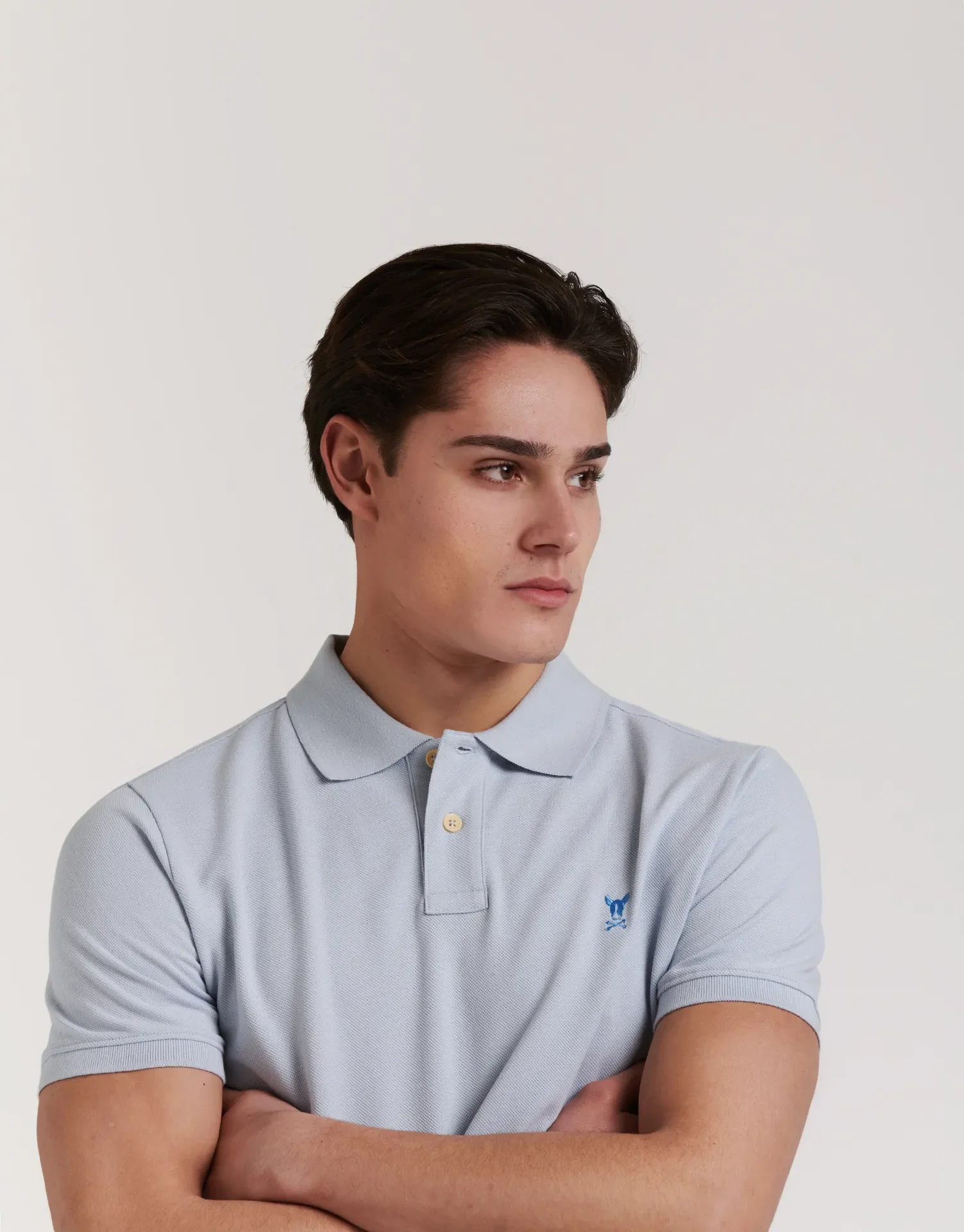 POLO PREMIUM DOG - Image 15