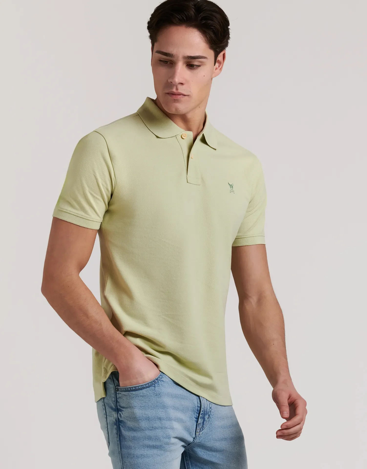 POLO PREMIUM DOG - Image 27