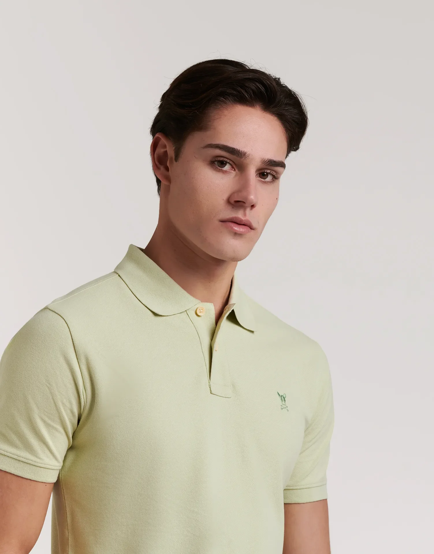POLO PREMIUM DOG - Image 31