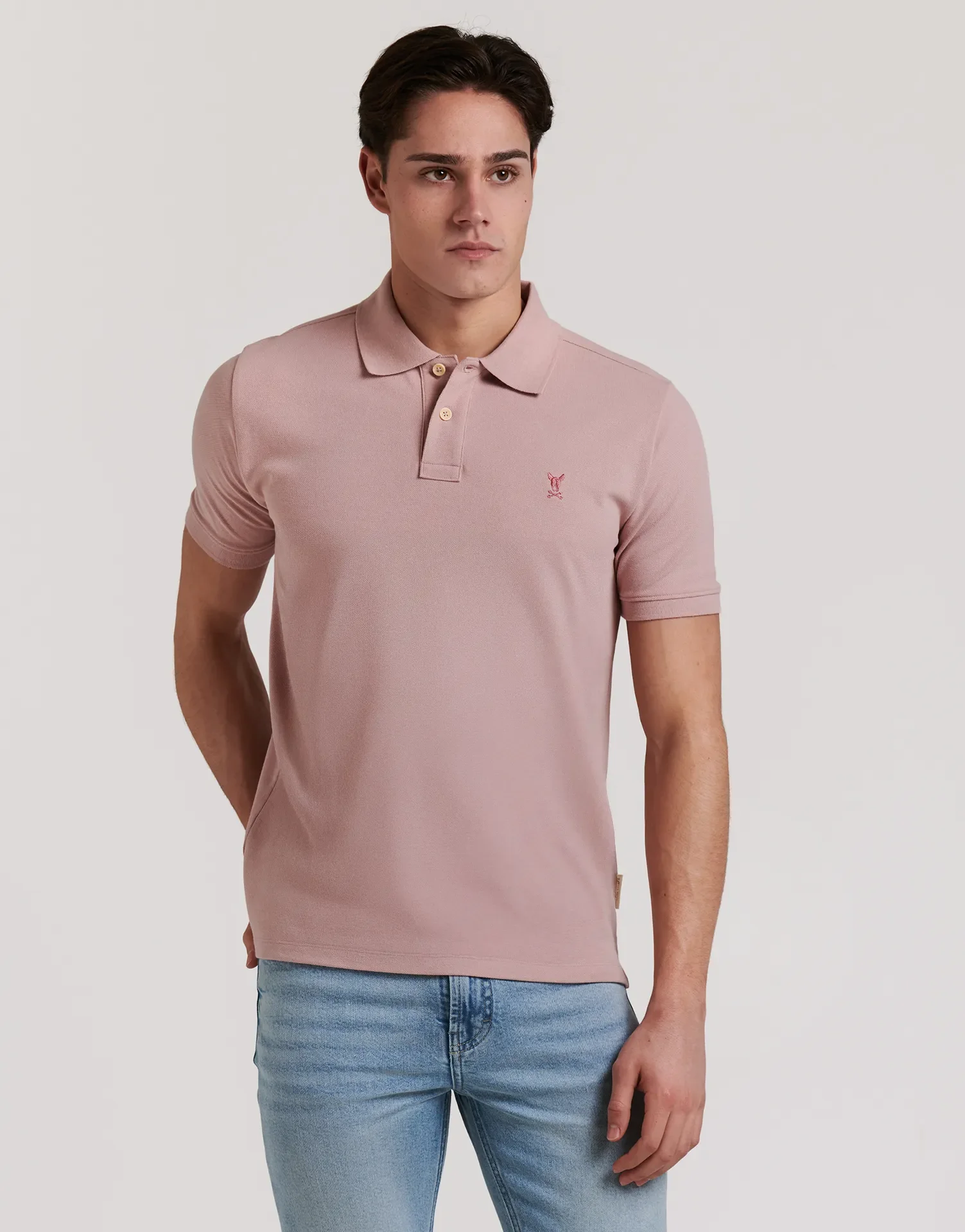 POLO PREMIUM DOG - Image 35