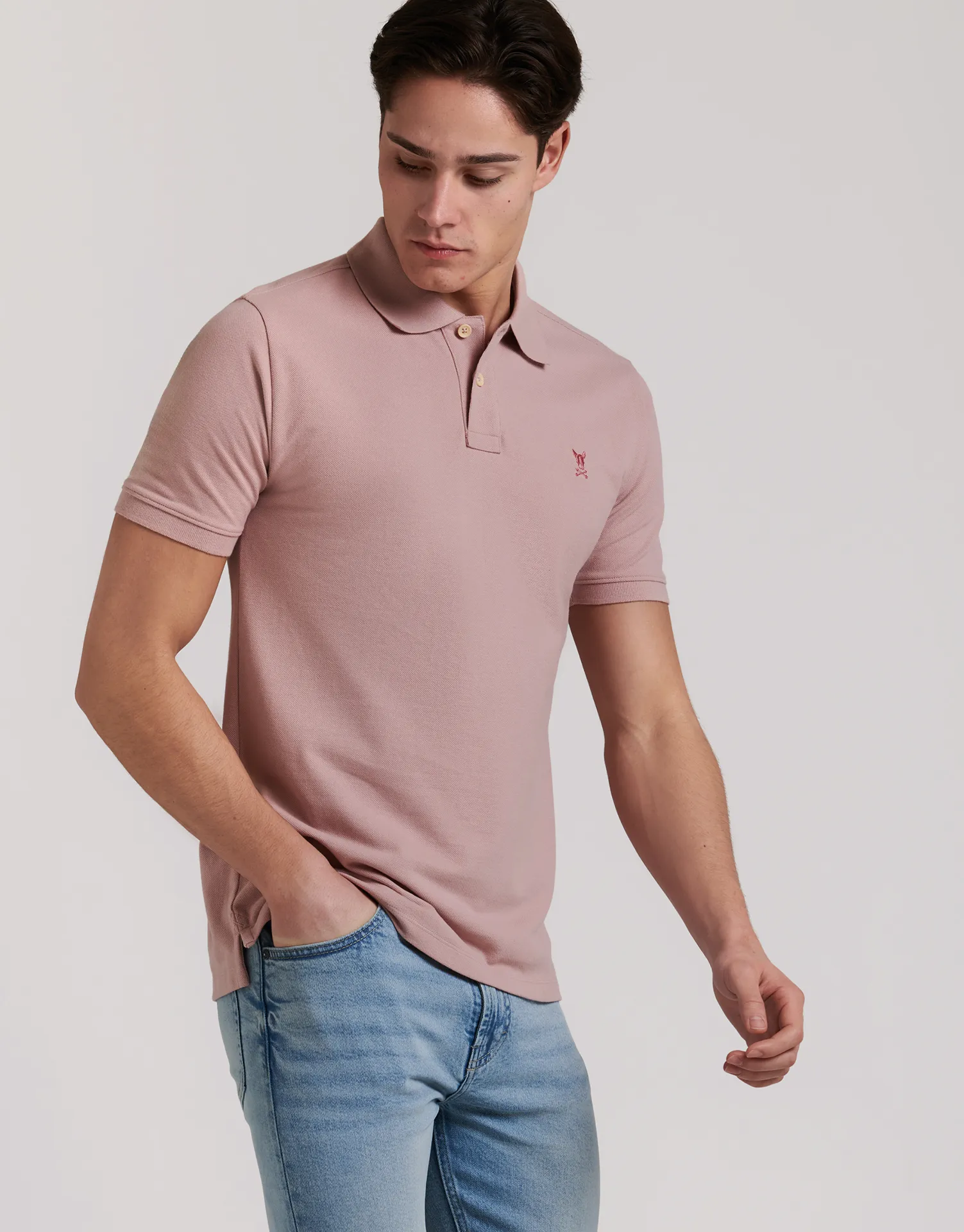POLO PREMIUM DOG - Image 38