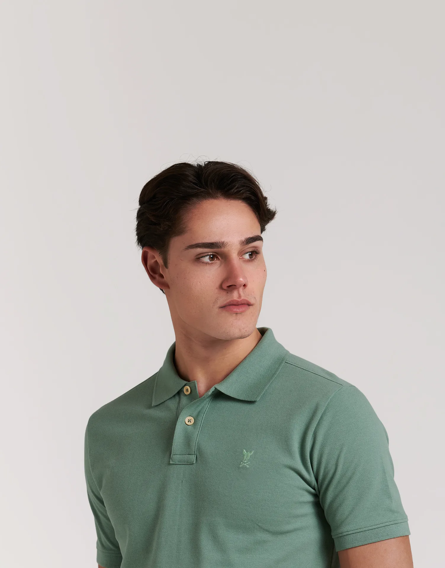 POLO PREMIUM DOG - Image 42