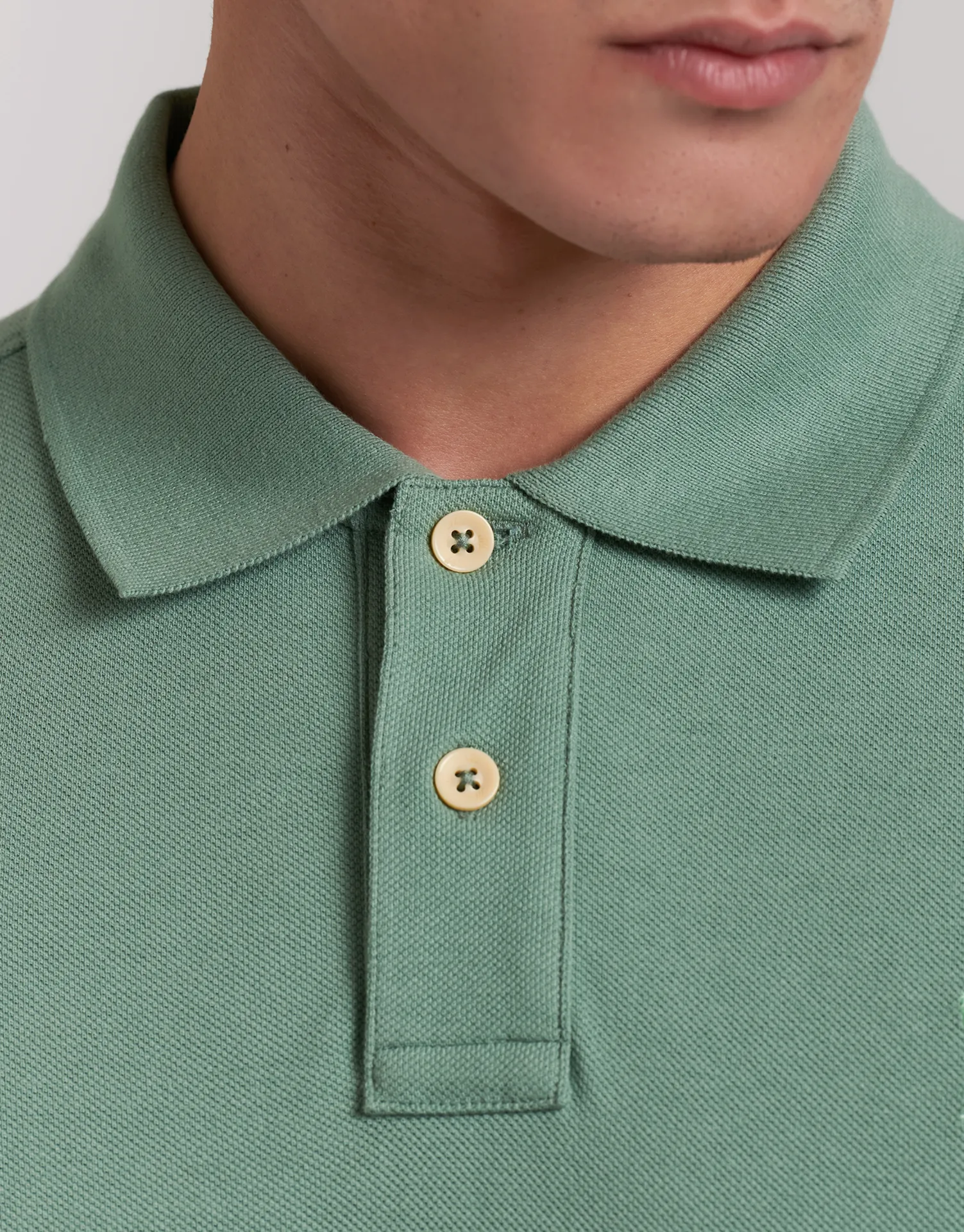 POLO PREMIUM DOG - Image 43