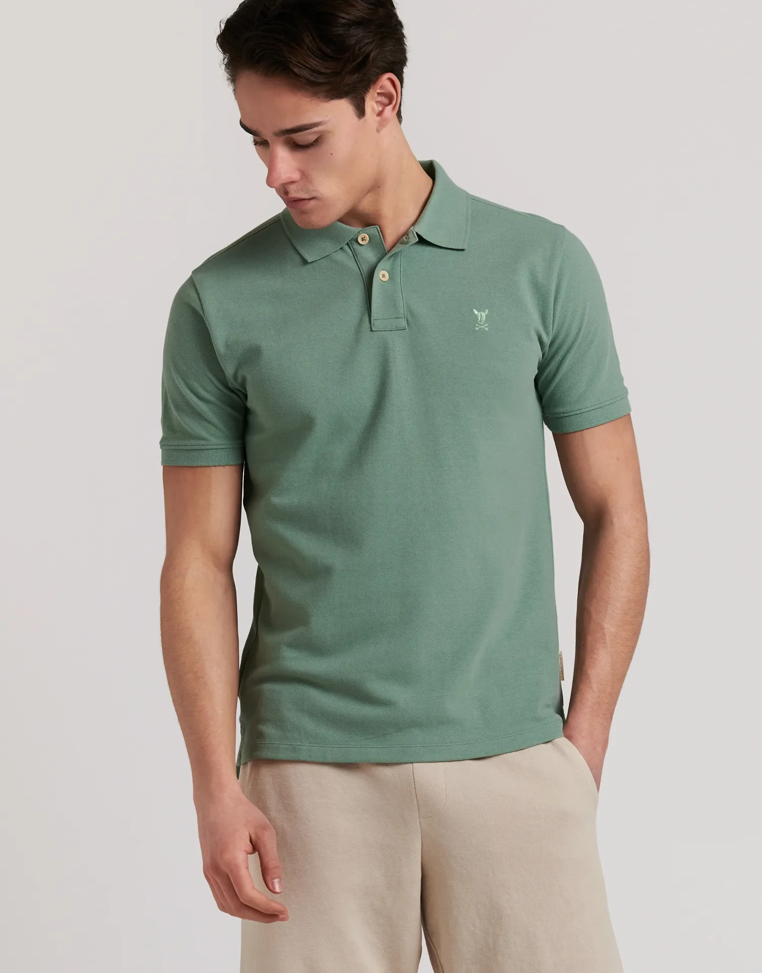 POLO PREMIUM DOG - Image 45